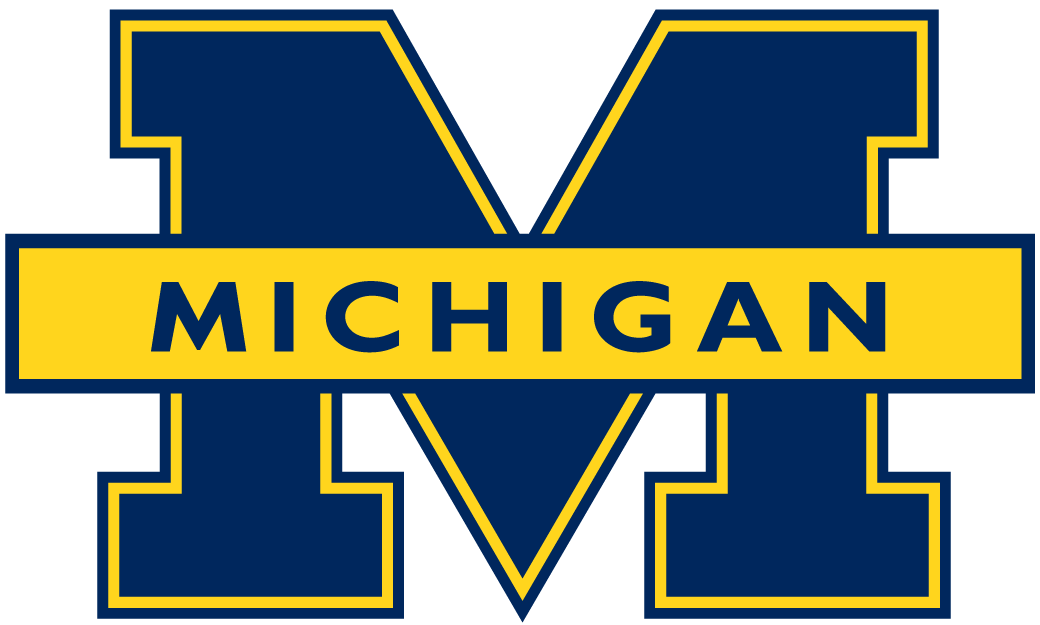 Michigan Wolverines 1996-2011 Primary Logo DIY iron on transfer (heat transfer)